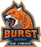 Burst Server